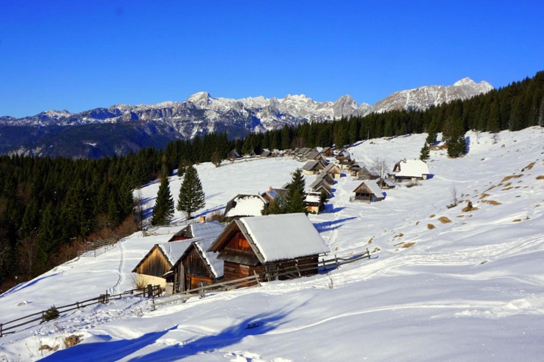 Apartments Arh Bohinjska Bistrica Esterno foto